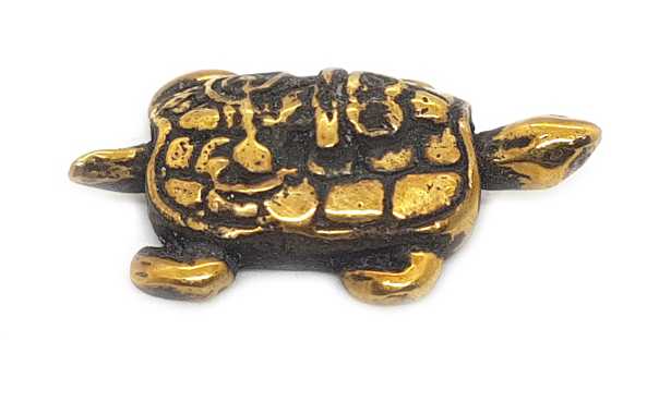 Magische Lo-Shu Schildkröte Bild 1